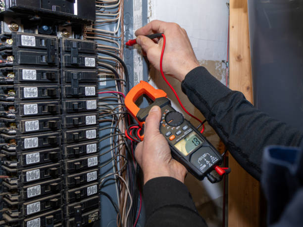 Best Electric Panel Repair  in Hlside, IL